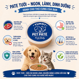 Pate mix gà + heo hộp 500g cho bé mèo, giúp tăng cân , lông mượt
