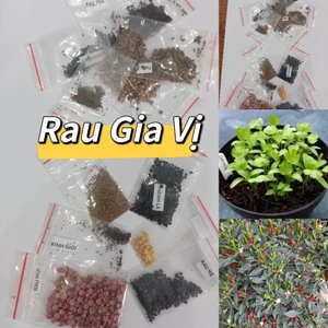 6 Túi Hạt Giống Rau Gia Vị gói zip Tiện Lợi tiết kiệm