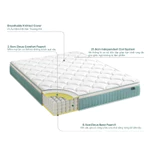 Nệm Lò Xo Độc Lập Với 3 Tầng Foam Hỗ Trợ 25cm - 10in Euro Top OPP Pocket Spring Mattress — ảnh 3