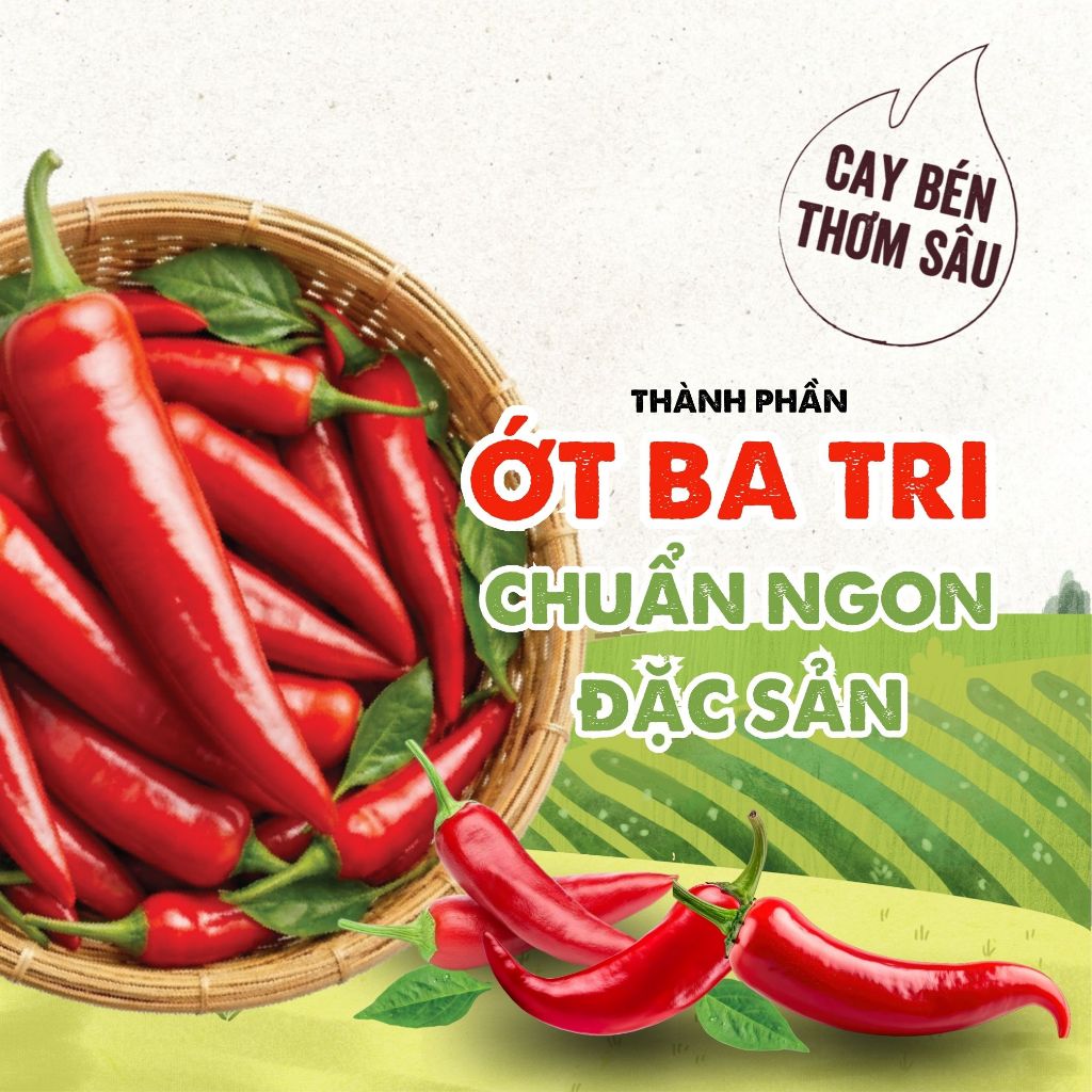 Thùng Tương Ớt Ba Tri Ông Lọ 24 Chai x 250G - Hành Trình Đặc Sản