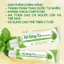 COMBO 2 Tuýp kem Xà Sàng Tử Pacify Nấm Sẻ, ngứa da đầu, vẩy nến,kháng khuẩn, kháng nấm, giảm ngứa