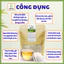 Trà búp lá ổi túi lọc - Tan mỡ giảm cân, ngừa tiểu đường - Tâm An 30 Lọc