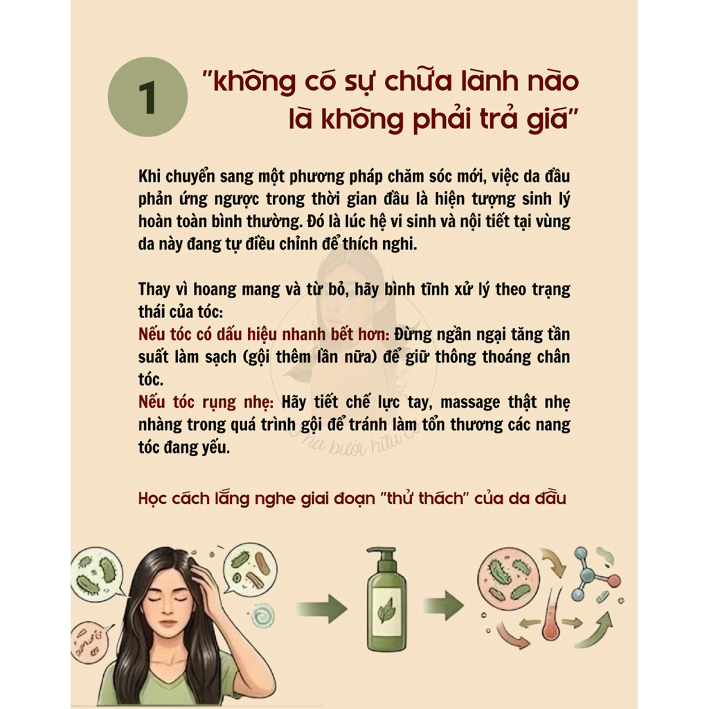 [𝟭𝟬𝗵𝗮 𝒃ư𝒐̛̉𝒊 𝒉𝒖̛̃𝒖 𝒄𝒐̛] 500ml GEL GỘI HOA BƯỞI ít hoá chất, không hương liệu và ít bọt