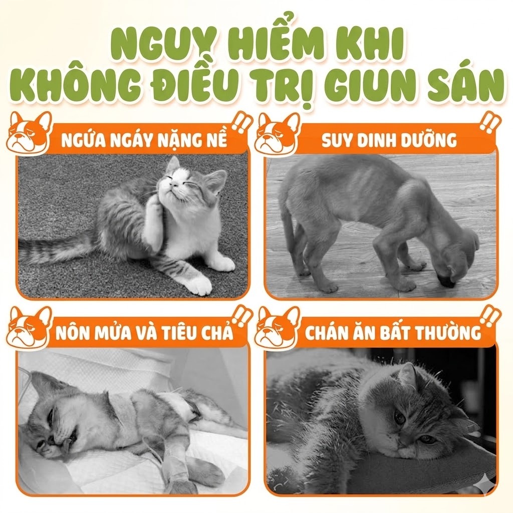 【Mua 3 Tặng 2】 Cassiel Pet Viên Nhai 2 Trong 1 - Diệt Ve Rận, Bọ Chét, Ghẻ & Tẩy Giun Sán Cho Chó Mèo