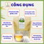 Trà Cây Rau Mương Túi Lọc - Hỗ Trợ Tiêu Hóa, Chống Trào Ngược, Đầy Hơi, Ợ Chua, Ức Chế Vi Khuẩn HP - Tâm An 30 Lọc