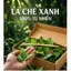 Lá chè xanh già - Truồi xứ Huế | Lá chè tươi nguyên lá | Hái từ vườn , vị thanh nhẹ , không đắng gắt