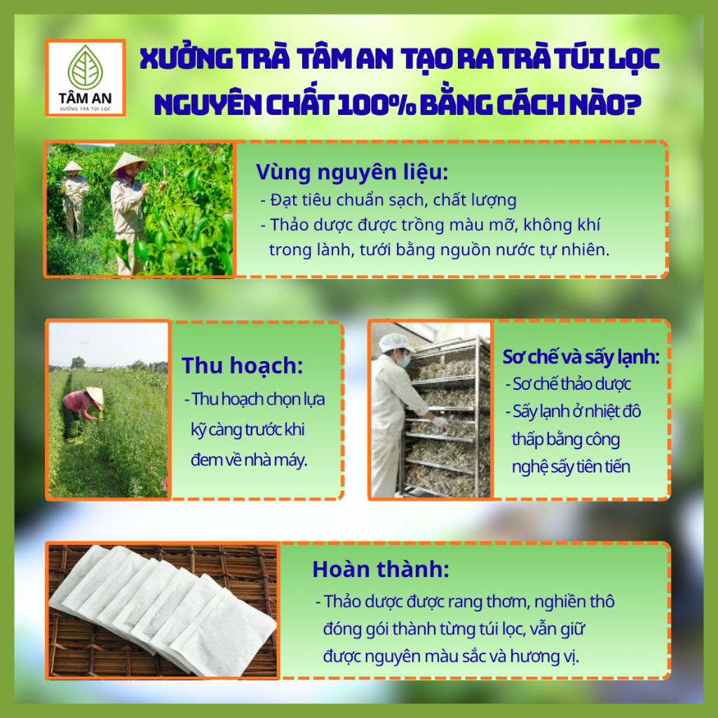 Trà Cà Gai Leo Túi Lọc - Mát Gan, Thanh Nhiệt - Tâm An 30 Túi Lọc