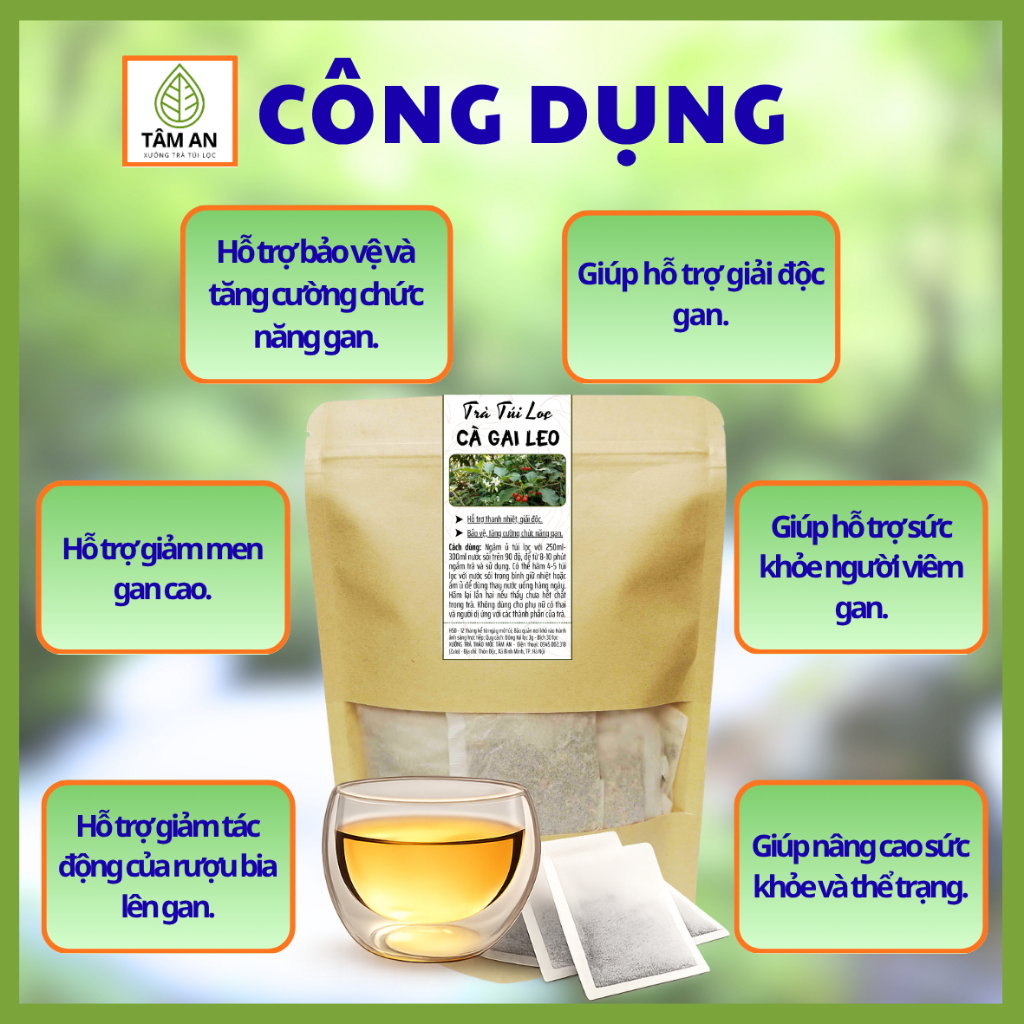 Trà Cà Gai Leo Túi Lọc - Mát Gan, Thanh Nhiệt - Tâm An 30 Túi Lọc