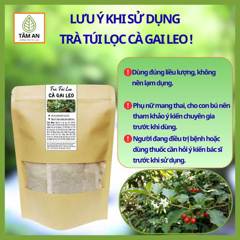 Trà Cà Gai Leo Túi Lọc - Mát Gan, Thanh Nhiệt - Tâm An 30 Túi Lọc