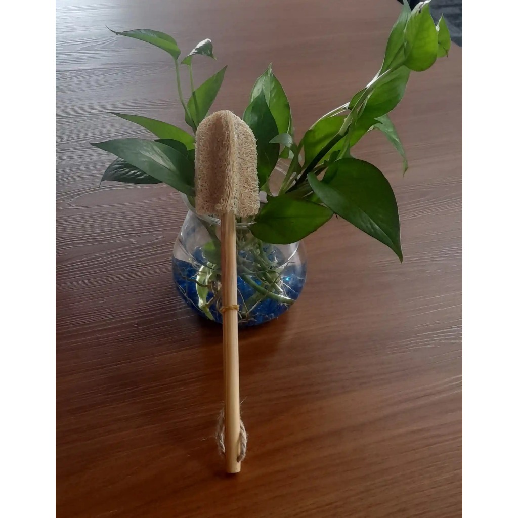 Cây Rửa Bình Sữa Xơ Mướp 100% Tự Nhiên Cán Gỗ 20CM Cọ Rửa Bình Sữa Thiên Nhiên Thân Thiện Môi Trường