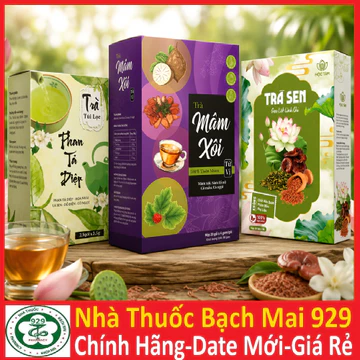 Combo Trà Thảo Mộc Thiên Nhiên | Trà Phan Tả Diệp Túi Lọc - Trà Mâm Xôi - Trà Sen Gạo Lứt Linh Chi