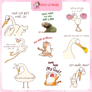 Hình in nhiệt meme cute,nhiều mẫu nhiều size,ủi tại nhaf bằng bàn là bàn ủi