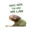 Hình in nhiệt meme cute,nhiều mẫu nhiều size,ủi tại nhaf bằng bàn là bàn ủi