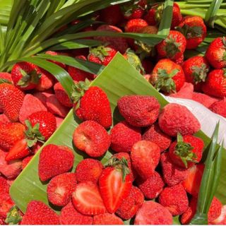 200G DÂU TÂY SẤY THĂNG HOA, DÂU TÂY SẤY GIÒN, XỐP, NGỌT NHẸ, CHUA TỰ NHIÊN, THƠM DÂU