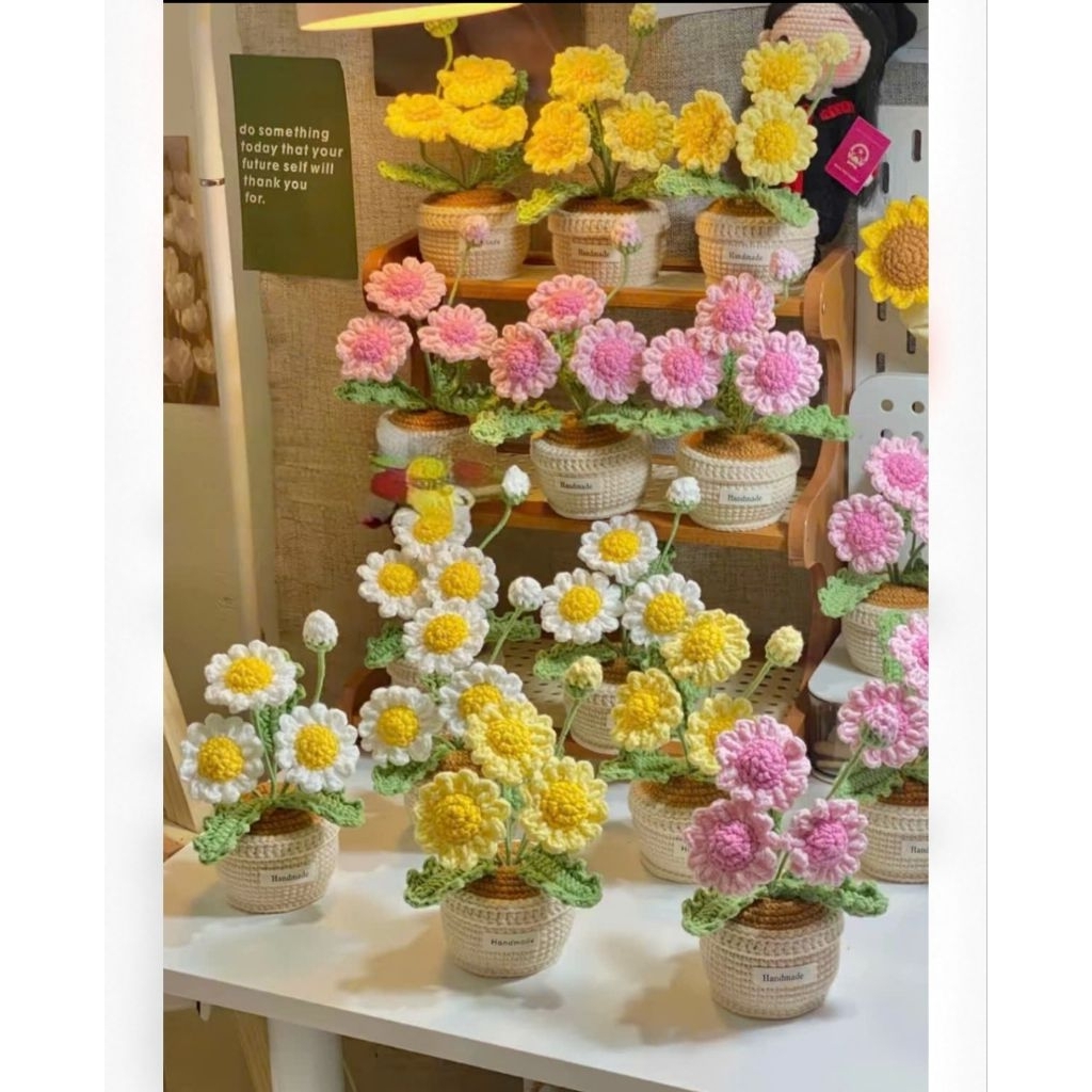 Chậu Hoa Cúc Daisy Để Bàn , Chậu Hoa Len Handmade