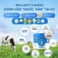 Sữa Bellamy Organic Đạm A1 Đủ Số Phiên Bản Lõi Hỗ Trợ Đề Kháng và Miễn Dịch