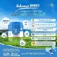 Sữa Bellamy Organic Đạm A1 Đủ Số Phiên Bản Lõi Hỗ Trợ Đề Kháng và Miễn Dịch