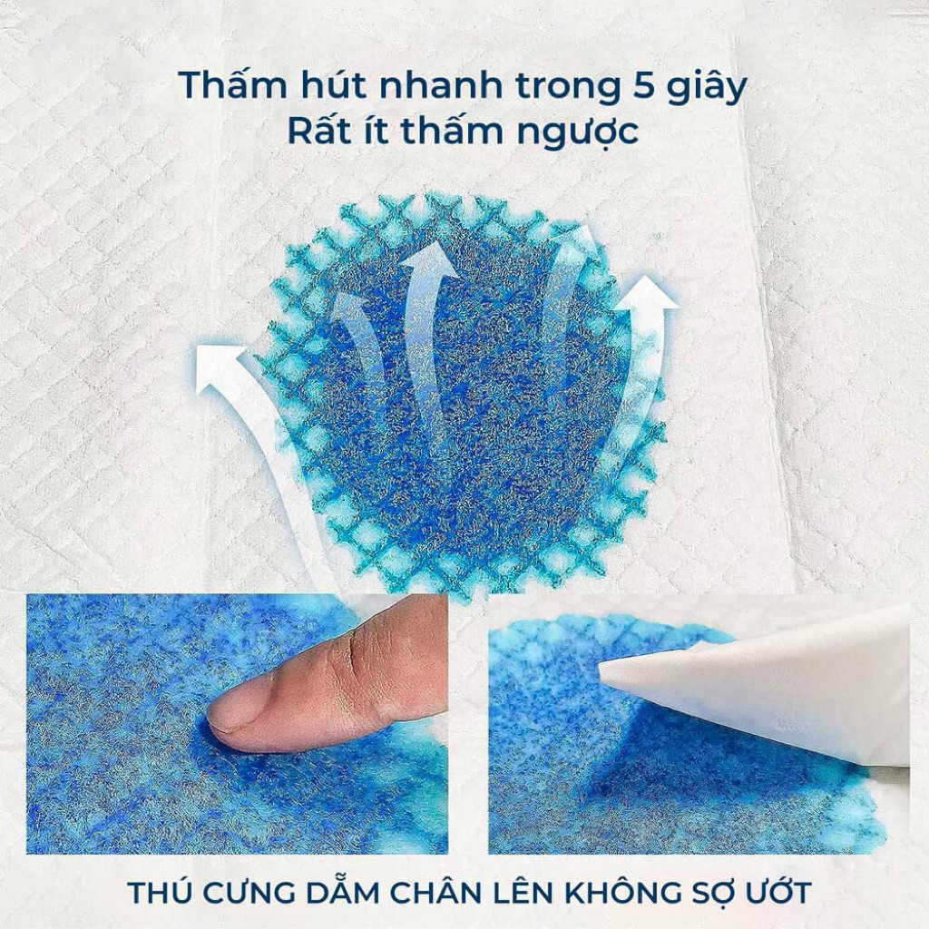 Tấm Lót Vệ Sinh Honey Care Deluxe Nhật Bản Cho Chó Mèo - Siêu Thấm Hút Cao Cấp
