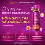 Nước Nấm Đông trùng hạ thảo Hector Collagen Plus hỗ trợ làm mờ thâm nám, bổ sung collagen (1 hộp x 10 chai x 50ml) — ảnh 4