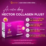 Nước Nấm Đông trùng hạ thảo Hector Collagen Plus hỗ trợ làm mờ thâm nám, bổ sung collagen (1 hộp x 10 chai x 50ml) — ảnh 5