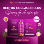 Nước Nấm Đông trùng hạ thảo Hector Collagen Plus hỗ trợ làm mờ thâm nám, bổ sung collagen (1 hộp x 10 chai x 50ml) — ảnh 2