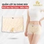 Quần Lót Nữ Dáng Đùi Chất Su Mịn Mát Thoáng Khí, Quần Chip Nữ Phối Ren Mềm Kháng Khuẩn AMYBRA L6448
