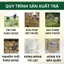 Trà Sâm Tố Nữ Túi Lọc - Nở Ngực, Giảm Nám, Cải Thiện Sinh Lý Nữ - Triệu Quang 30 Lọc