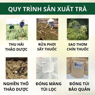 Trà Sâm Tố Nữ Túi Lọc - Nở Ngực, Giảm Nám, Cải Thiện Sinh Lý Nữ - Triệu Quang Túi 30 Lọc