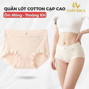 Quần Lót Nữ Cotton Mịn Cạp Cao Ôm Dáng Êm Ái, Quần Chip Nữ Đáy May Thấm Hút Kháng Khuẩn AMYBRA L6017