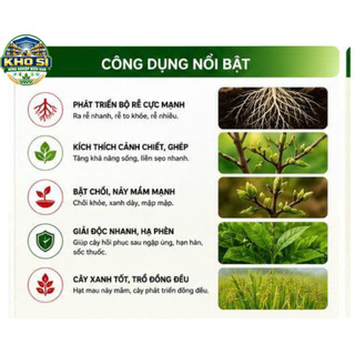 SUMO HUMAT ROOT TOP1 250ML – PHA TỚI 500 LÍT – SIÊU RA RỄ, GIẢI ĐỘC ĐẤT, BẬT CHỒI CỰC MẠNH
