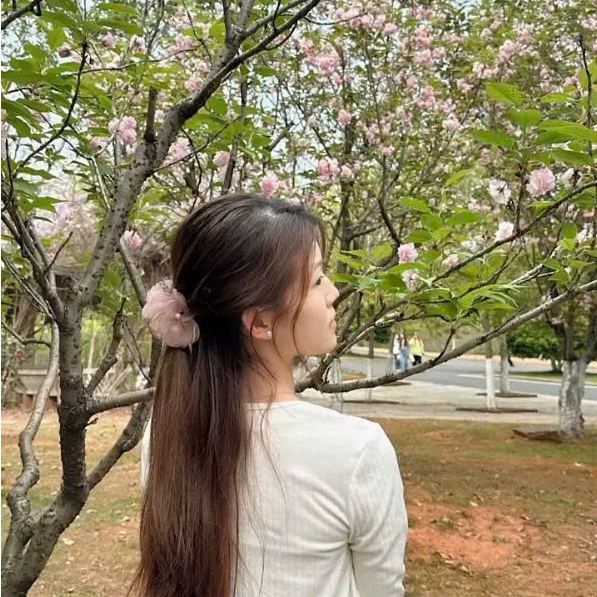 Kẹp Tóc Càng Cua Hoa Voan Tơ Đính Ngọc Trai – Phụ Kiện Tóc Nữ Nàng Thơ Dịu Dàng & Tinh Tế
