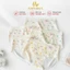 Quần Lót Nữ AMYBRA Cotton Viền Su Ôm Dáng, Quần Chip Nữ Họa Tiết Gấu Đáng Yêu L6408