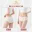 Quần Lót Nữ AMYBRA Cotton Viền Su Ôm Dáng, Quần Chip Nữ Họa Tiết Gấu Đáng Yêu L6408