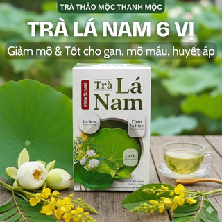 Trà Lá Nam 6 Vị Green Tea Hộp 30 Túi Lọc Hỗ Trợ Giảm Cân, Mát Gan, Thanh Lọc Cơ Thể Chống Lão Hóa