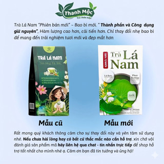 Trà Lá Nam 6 Vị Green Tea Hộp 30 Túi Lọc Hỗ Trợ Giảm Cân, Mát Gan, Thanh Lọc Cơ Thể Chống Lão Hóa