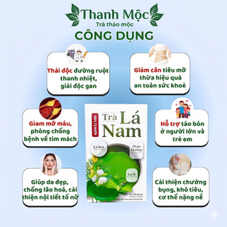 Trà Lá Nam 6 Vị Green Tea Hộp 30 Túi Lọc Hỗ Trợ Giảm Cân, Mát Gan, Thanh Lọc Cơ Thể Chống Lão Hóa