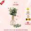 Lá Táo Giả, Lá Bạch Đàn Giả, Chuyên Dụng Cắm Hoa, Trang Trí Bình Hoa, Decor Handmade, Giỏ Quà Tặng