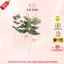 Lá Táo Giả, Lá Bạch Đàn Giả, Chuyên Dụng Cắm Hoa, Trang Trí Bình Hoa, Decor Handmade, Giỏ Quà Tặng