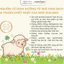 Sữa Cừu Spring Sheep Nguyên Kem Dạng Túi 350G & 850G Cho Bé >1Y Đủ Tem Phụ Xác Thực