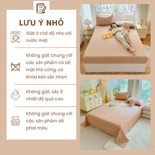 Ga trải giường cotton đũi Windy M2T bedding drap giường bo chun đủ size - KHÔNG KÈM VỎ GỐI