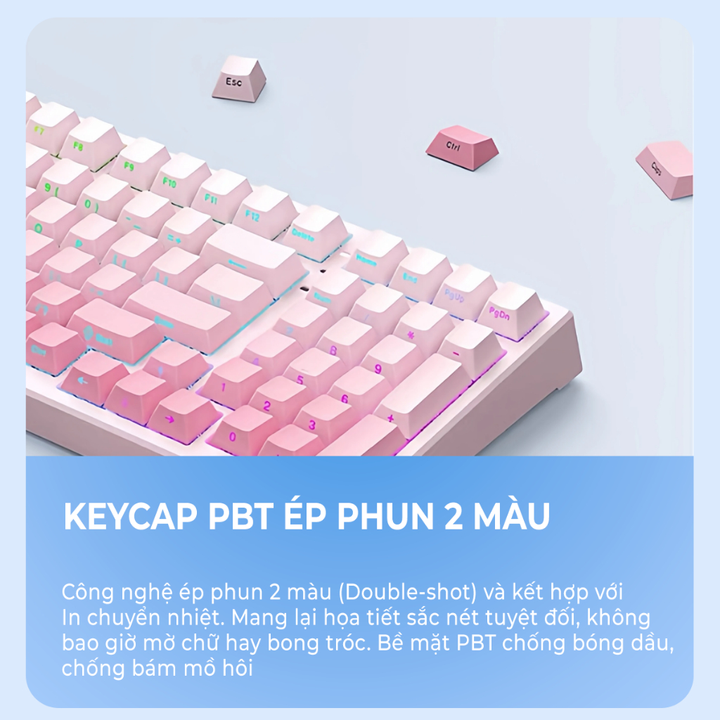 Bàn phím cơ Xinmeng X98U - Bàn phím cơ không dây led RGB, Layout 98%, Hotswap, 3 mode kết nối, Bàn phím văn phòng gõ tốt | BigBuy360 - bigbuy360.vn