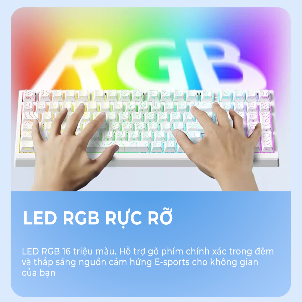 Bàn phím cơ Xinmeng X98U - Bàn phím cơ không dây led RGB, Layout 98%, Hotswap, 3 mode kết nối, Bàn phím văn phòng gõ tốt | BigBuy360 - bigbuy360.vn