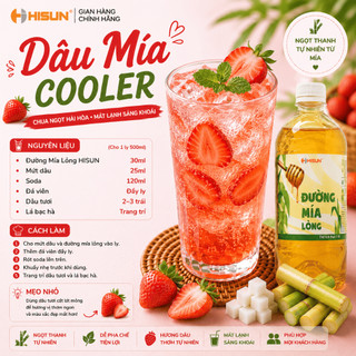 Combo 2 Chai Đường Mía Xanh Hisun 1 Lít Độ Ngọt 6.0 – Đường Nước Pha Trà Trái Cây, Trà Sữa Cho Quán