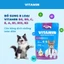 Pate Cho Mèo Mr.Vet Gói 70g - Bổ Sung Các Dưỡng Chất Hỗ Trợ Tiêu Hóa, Tăng Đề Kháng