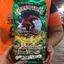 Trà sâm dứa Con Sóc đỏ gói 350gr /Uống Là Mê
