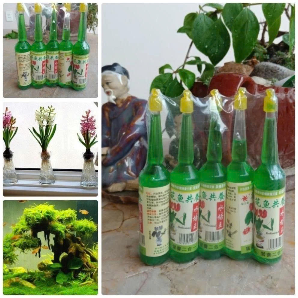 combo 5 lọ, 38ml dung dịch màu xanh giúp cây ra rễ, tốt lá cho cây nội thất, cây thủy sinh