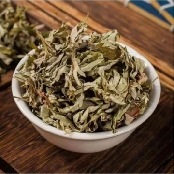 100g Lá Ngải Cứu Khô Ngâm Chân + tặng 5 túi lọc ( 6x8)