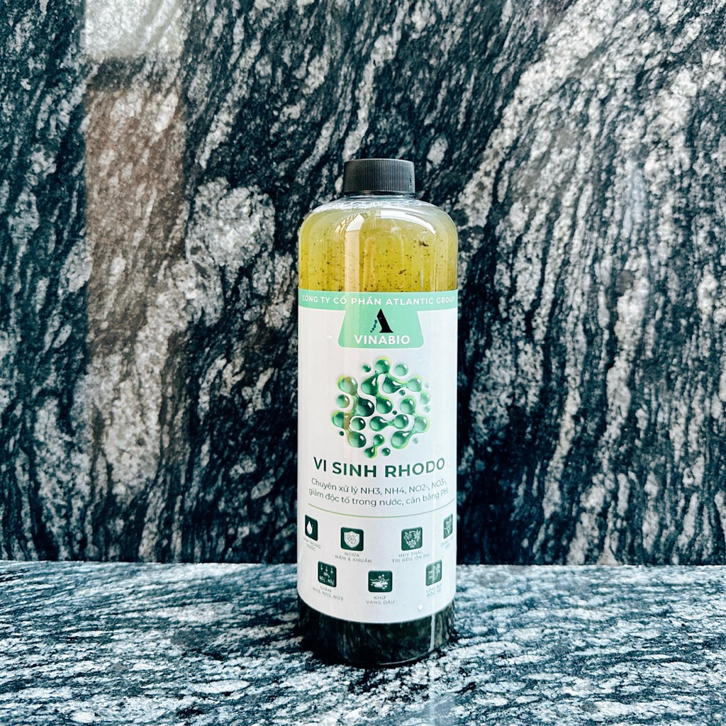Rhodo – Vi sinh quang hợp xử lý khí độc & làm trong nước hồ cá