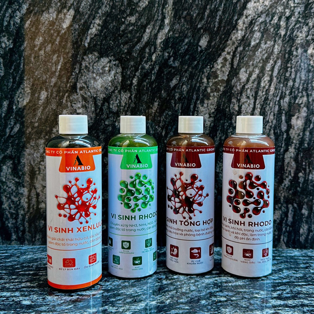 Rhodo – Vi sinh quang hợp xử lý khí độc & làm trong nước hồ cá