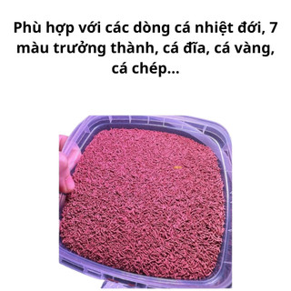 Cám Trùng Chỉ Sấy Khô Giúp Tăng Size, Thức Ăn Cho Cá Giúp Tăng Size Lên Màu Nhanh